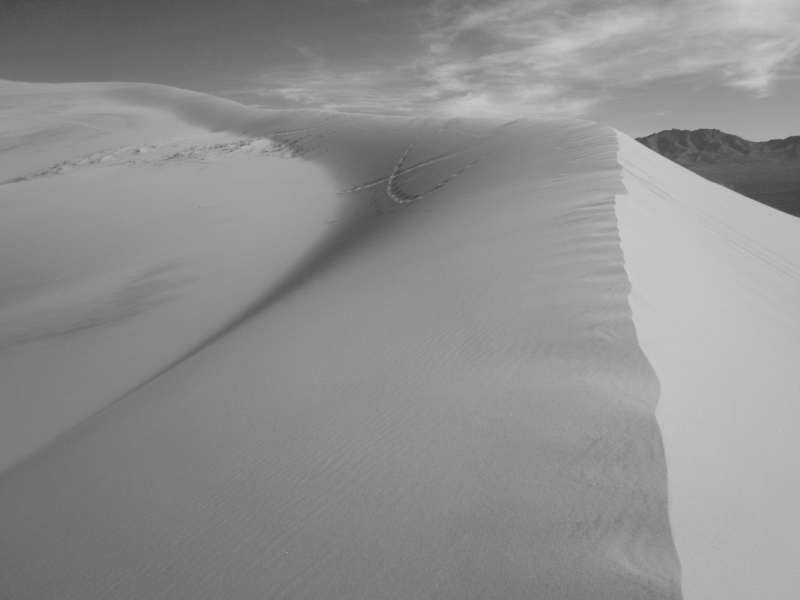 kelso dunes black and white